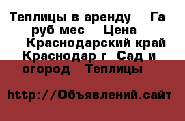Теплицы в аренду 0,5Га10.000 руб/мес. › Цена ­ 10 000 - Краснодарский край, Краснодар г. Сад и огород » Теплицы   